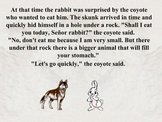 At that time the rabbit was surprised by the coyote who wanted to eat him. The skunk arrived in time and quickly hid himself in a hole under a rock. &quot;Shall I eat you today, Señor rabbit?&quot; the coyote said.  &quot;No, don't eat me because I am very small. But there under that rock there is a bigger animal that will fill your stomach.&quot;  &quot;Let's go quickly,&quot; the coyote said.   