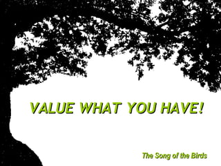 VALUE WHAT YOU HAVE!VALUE WHAT YOU HAVE!
The Song of the BirdsThe Song of the Birds
 