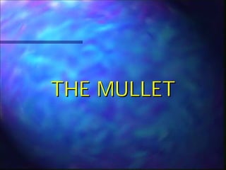 THE MULLET