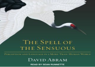 _PDF_ The Spell of the Sensuous: Perception and Language in a More-Than-Human World free download PDF ,read _PDF_ The Spell of the Sensuous: Perception and Language in a More-Than-Human World free, pdf _PDF_ The Spell of the Sensuous: Perception and Language in a More-Than-Human World free ,download|read _PDF_ The Spell of the Sensuous: Perception and Language in a More-Than-Human World free PDF,full download _PDF_ The Spell of the Sensuous: Perception and Language in a More-Than-Human World free, full ebook _PDF_ The Spell of the Sensuous: Perception and Language in a More-Than-Human World free,epub _PDF_ The Spell of the Sensuous: Perception and Language in a More-Than-Human World free,download free _PDF_ The Spell of the Sensuous: Perception and Language in a More-Than-Human World free,read free _PDF_ The Spell of the Sensuous: Perception and Language in a More-Than-Human World free,Get acces _PDF_ The Spell of the Sensuous: Perception and Language in a More-Than-Human World free,E-book _PDF_ The Spell of the Sensuous: Perception and Language in a More-Than-Human World free download,PDF|EPUB _PDF_ The Spell of the Sensuous: Perception and Language in a More-Than-Human World free,online _PDF_ The Spell of the Sensuous: Perception and Language in a More-Than-Human World free read|download,full _PDF_ The Spell of the Sensuous: Perception and Language in a More-Than-Human World free read|download,_PDF_ The Spell of the Sensuous: Perception and Language in a More-Than-Human World free kindle,_PDF_ The Spell of the Sensuous: Perception and Language in a More-Than-Human World free for audiobook,_PDF_ The Spell of the Sensuous: Perception and Language in a More-Than-Human World free for ipad,_PDF_ The Spell of the Sensuous: Perception and Language in a More-Than-Human World free for android, _PDF_ The Spell of the Sensuous: Perception and Language in a More-Than-Human World free
paparback, _PDF_ The Spell of the Sensuous: Perception and Language in a More-Than-Human World free full free acces,download free ebook _PDF_ The Spell of the Sensuous: Perception and Language in a More-Than-Human World free,download _PDF_ The Spell of the Sensuous: Perception and Language in a More-Than-Human World free pdf,[PDF] _PDF_ The Spell of the Sensuous: Perception and Language in a More-Than-Human World free,DOC _PDF_ The Spell of the Sensuous: Perception and Language in a More-Than-Human World free
 