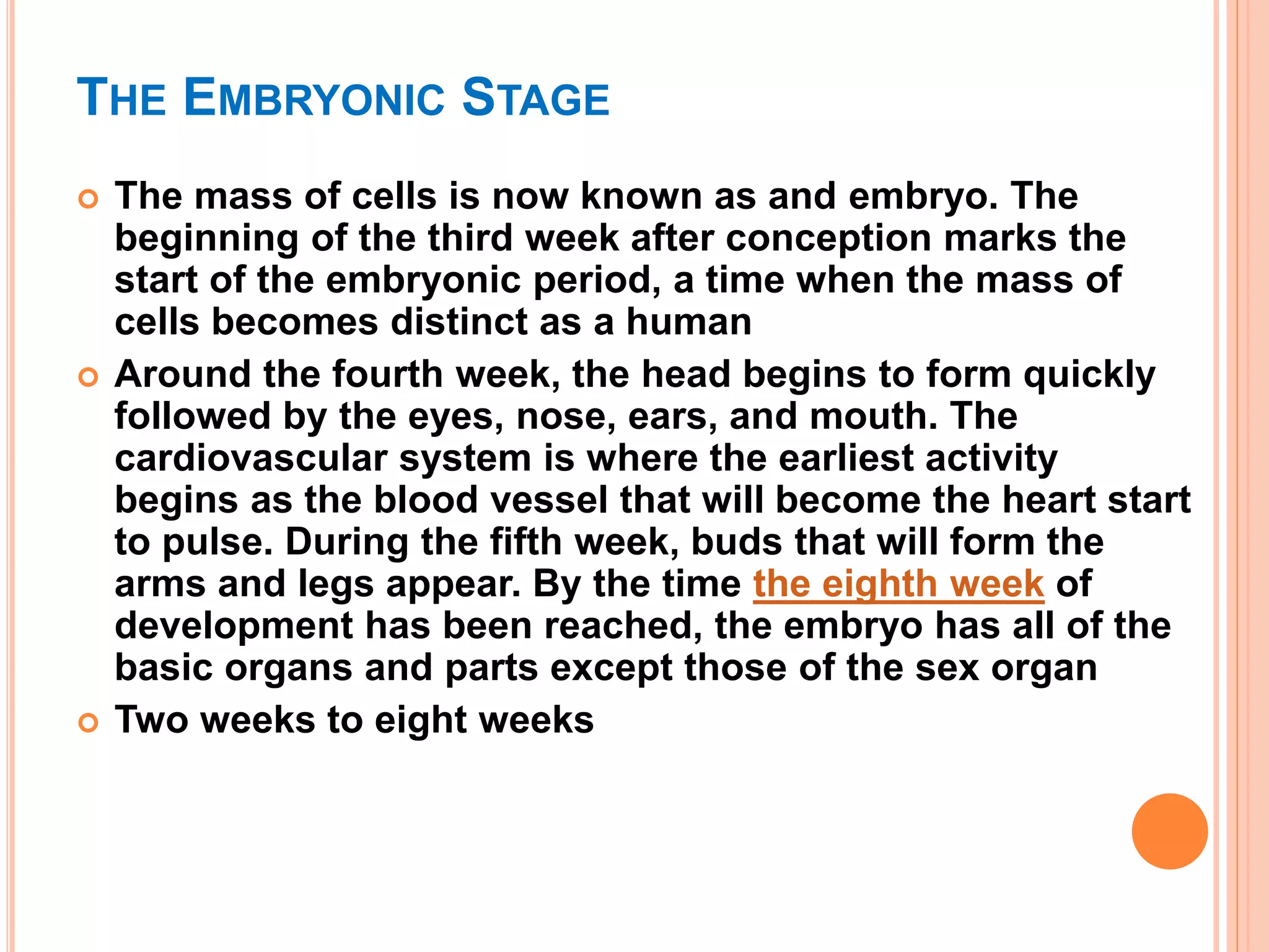 THE EMBRYONIC STAGE
 The mass of cells is now known as and embryo. The
beginning of the third week after conception marks the
start of the embryonic period, a time when the mass of
cells becomes distinct as a human
 Around the fourth week, the head begins to form quickly
followed by the eyes, nose, ears, and mouth. The
cardiovascular system is where the earliest activity
begins as the blood vessel that will become the heart start
to pulse. During the fifth week, buds that will form the
arms and legs appear. By the time the eighth week of
development has been reached, the embryo has all of the
basic organs and parts except those of the sex organ
 Two weeks to eight weeks
 