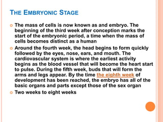 THE EMBRYONIC STAGE
 The mass of cells is now known as and embryo. The
beginning of the third week after conception marks the
start of the embryonic period, a time when the mass of
cells becomes distinct as a human
 Around the fourth week, the head begins to form quickly
followed by the eyes, nose, ears, and mouth. The
cardiovascular system is where the earliest activity
begins as the blood vessel that will become the heart start
to pulse. During the fifth week, buds that will form the
arms and legs appear. By the time the eighth week of
development has been reached, the embryo has all of the
basic organs and parts except those of the sex organ
 Two weeks to eight weeks
 