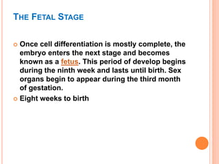 THE FETAL STAGE
 Once cell differentiation is mostly complete, the
embryo enters the next stage and becomes
known as a fetus. This period of develop begins
during the ninth week and lasts until birth. Sex
organs begin to appear during the third month
of gestation.
 Eight weeks to birth
 