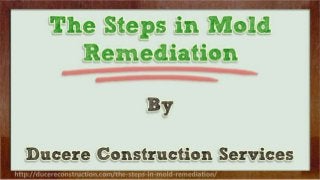 The Steps in Mold Remediation