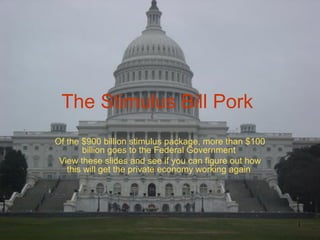 The Stimulus Bill Pork  Of the $900 billion stimulus package, more than $100 billion goes to the Federal Government  View these slides and see if you can figure out how this will get the private economy working again  