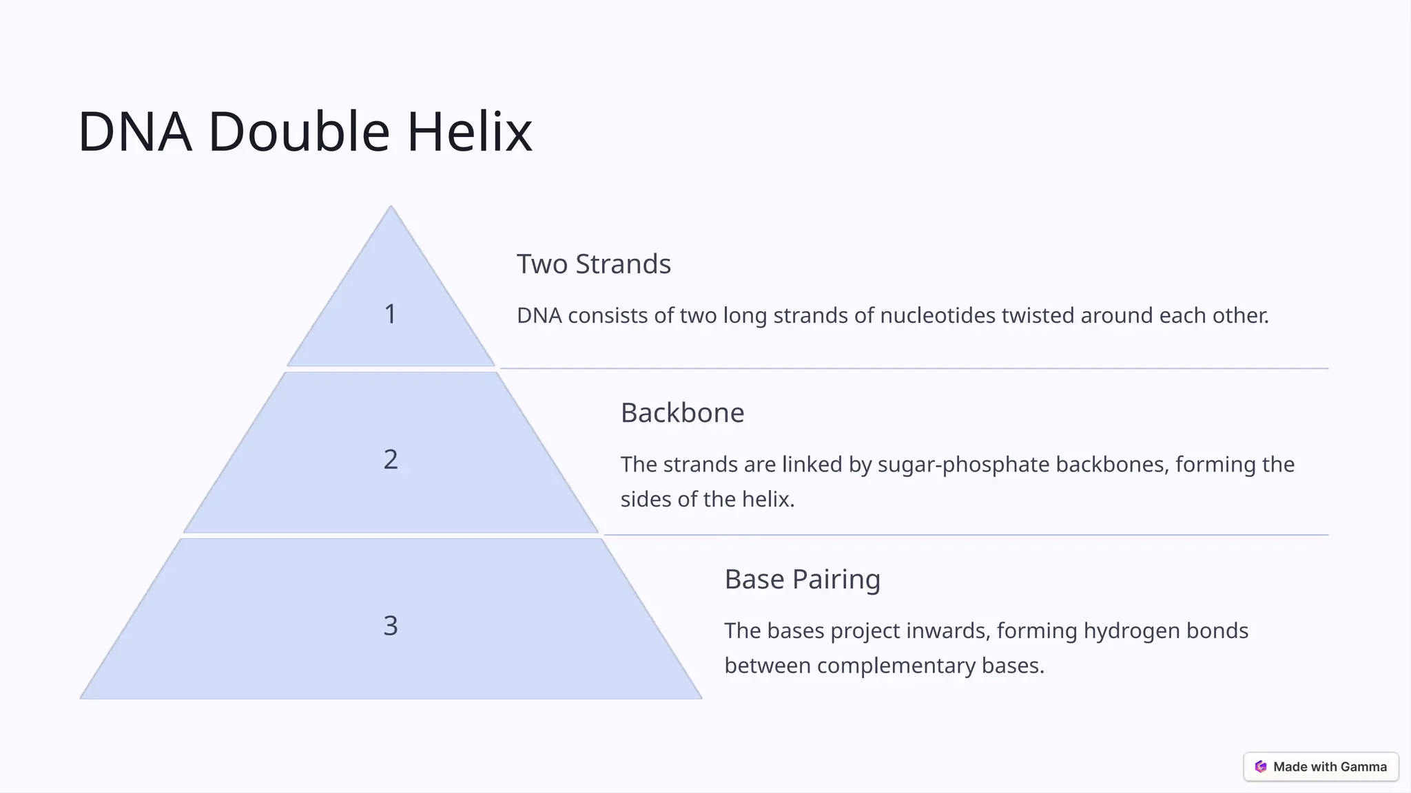 The-Structure-of-DNA. Nucleotides and nu | PPTX