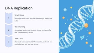 The-Structure-of-DNA. Nucleotides and nu | PPTX