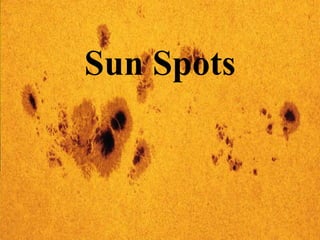 Sun Spots
 