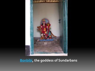 The sundarbans | PPTX