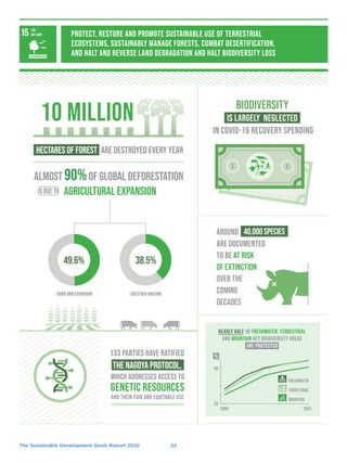 UN Report : The Sustainable Development Goals Report 2022 | PDF