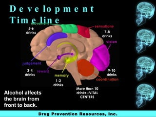 The Teen Brain | PPT
