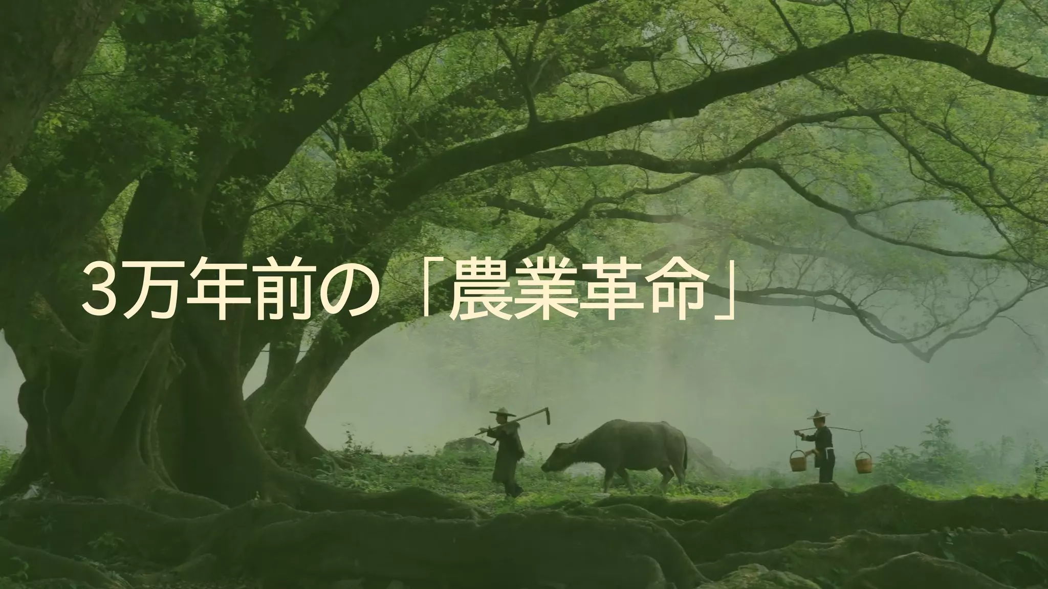 3万年前の「農業革命」
 