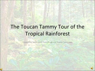 The Toucan Tammy Tour of the Tropical Rainforest Created by Sarah Sams, Josh Shugg and Sophie Testerman 