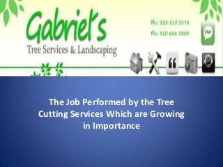 The Job Performed by the Tree
Cutting Services Which are Growing
in Importance
 