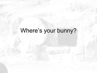 Where’s your bunny? 