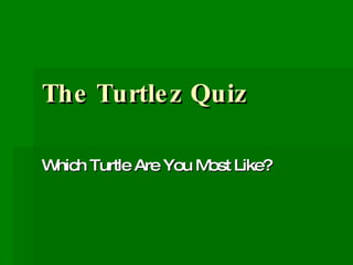 The Turtlez Quiz Which Turtle Are You Most Like? 
