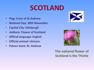 SCOTLAND Flag: Cross of St Andrew National Day: 30th November Capital City: Edinburgh Anthem: Flower of Scotland Official language: English  Official animal: Unicorn Patron Saint: St. Andrew The national flower of Scotland is the Thistle 