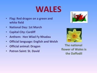WALES Flag:  Red dragon on a green and white field National Day: 1st March Capital City: Cardiff Anthem:  Hen Wlad Fy Nhadau Official language: English and Welsh Official animal: Dragon Patron Saint: St. David The national flower of Wales is the Daffodil 