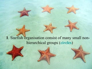 1 . Starfish organisation consist of many small non-hierarchical groups ( circles ) 