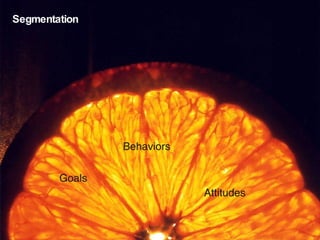 Segmentation Goals Behaviors Attitudes 