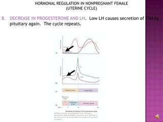 HORMONAL REGULATION IN NONPREGNANT FEMALE(UTERINE CYCLE)DECREASE IN PROGESTERONE AND LH.  Low LH causes secretion of FSH by pituitary again.  The cycle repeats.