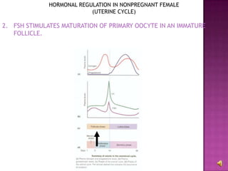 HORMONAL REGULATION IN NONPREGNANT FEMALE(UTERINE CYCLE)FSH STIMULATES MATURATION OF PRIMARY OOCYTE IN AN IMMATURE FOLLICLE.