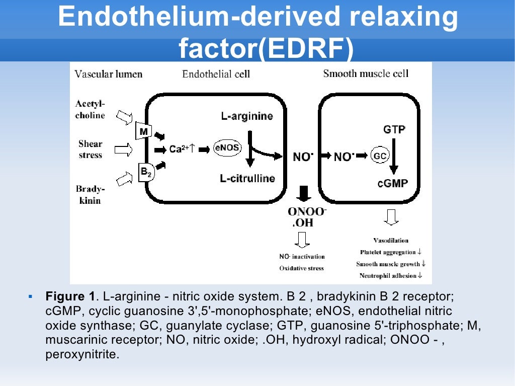 The Utility Of The Nitric Oxide Electrochemical Sensor In Biomedical