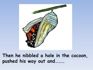 Then he nibbled a hole in the cocoon,
pushed his way out and………
 