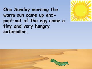 One Sunday morning the
warm sun came up and-
pop!-out of the egg came a
tiny and very hungry
caterpillar.
 