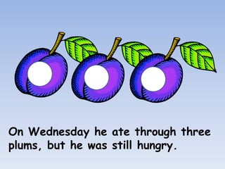 On Wednesday he ate through three
plums, but he was still hungry.
 