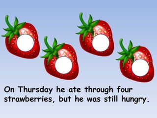 On Thursday he ate through four
strawberries, but he was still hungry.
 