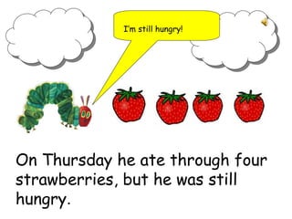 On Thursday he ate through four
strawberries, but he was still
hungry.
I’m still hungry!
 