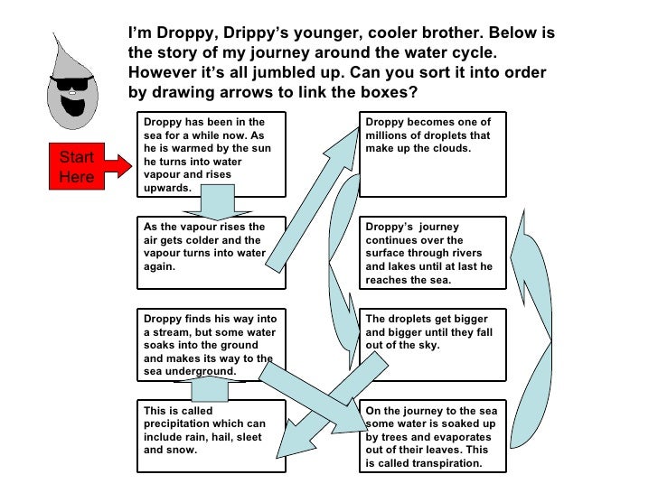 The water cycle