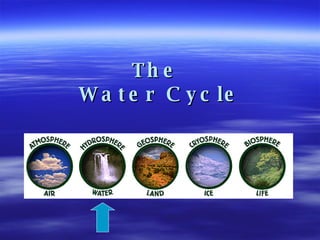 The  Water Cycle 
