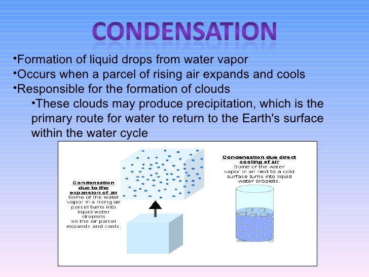 The Water Cycle