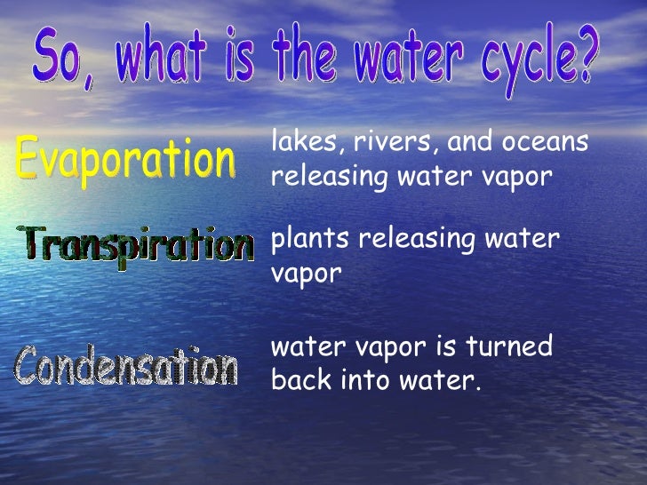 facts about evaporation