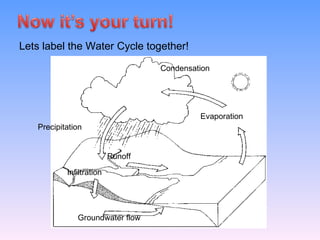 Precipitation Runoff Infiltration Groundwater flow Condensation Evaporation Lets label the Water Cycle together! 