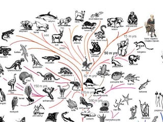 The Web Is Agreement Opentech2008