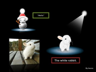 “Hello” The white rabbit. By beans 