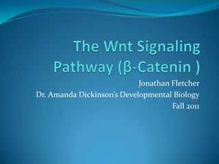 Jonathan Fletcher
Dr. Amanda Dickinson’s Developmental Biology
                                     Fall 2011
 