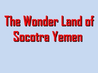 The Wonder Land of Socotra Yemen  