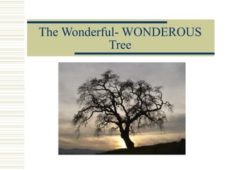 The Wonderful- WONDEROUS Tree 
