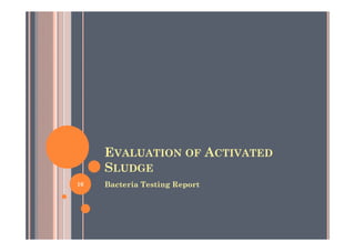 Sludge Report Tracking Examples The world-of-activated-sludge | PDF