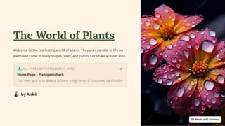 The World of Plants
Welcome to the fascinating world of plants. They are essential to life on
earth and come in many shapes, sizes, and colors. Let's take a closer look.
ALLTYPESOFFERTILIZERS,PLANTS
HomePage-Plantgenicherb
Our maingoalistoalwaysachieveahighlevelofcustomer satisfaction
by Ankit
 