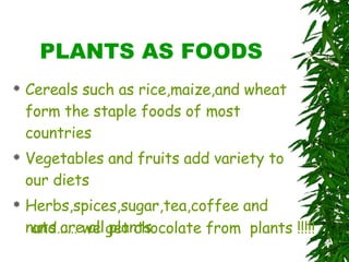 PLANTS AS FOODS Cereals such as rice,maize,and wheat form the staple foods of most countries Vegetables and fruits add variety to our diets Herbs,spices,sugar,tea,coffee and nuts are all plants and…… we get chocolate from  plants !!!!! 