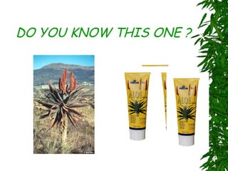 DO YOU KNOW THIS ONE ? 