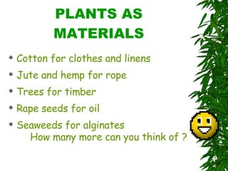 PLANTS AS MATERIALS Cotton for clothes and linens Jute and hemp for rope Trees for timber Rape seeds for oil Seaweeds for alginates How many more can you think of ? 