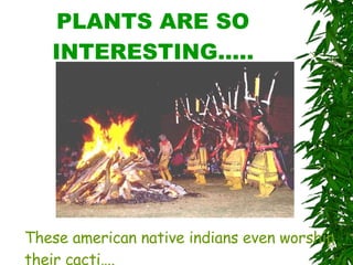 PLANTS ARE SO INTERESTING….. These american native indians even worship their cacti…. 