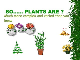 SO…… PLANTS ARE ? Much more complex and varied than you knew 