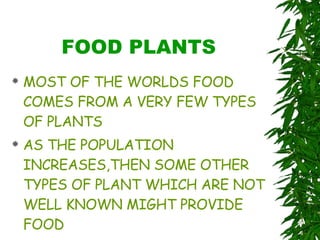 FOOD PLANTS MOST OF THE WORLDS FOOD COMES FROM A VERY FEW TYPES OF PLANTS AS THE POPULATION INCREASES,THEN SOME OTHER TYPES OF PLANT WHICH ARE NOT WELL KNOWN MIGHT PROVIDE FOOD 